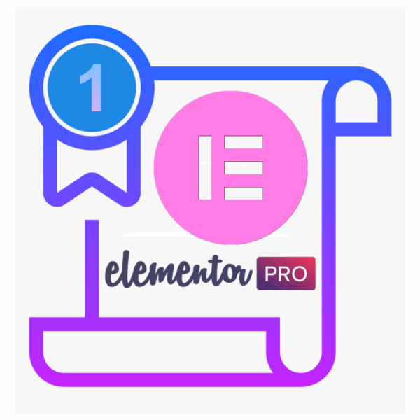 Расширенный курс с установкой Elementor PRO